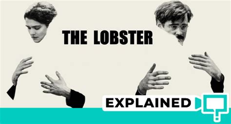 The Lobster Explained (Film Analysis and Ending Explained).